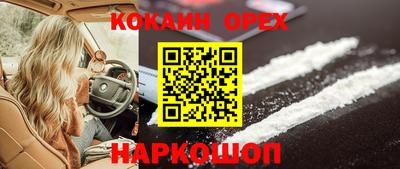 стафф Каменск-Шахтинский
