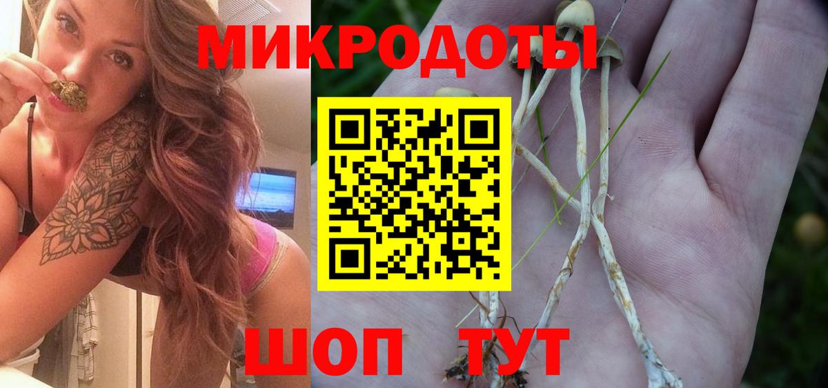 Галлюциногенные грибы Magic Shrooms  Вход с VPN  Феодосия 